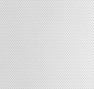 Painted White